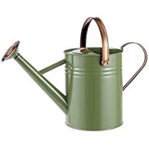 Check this out at Amazon Small Houseplants, Plant Watering Can, Watering Plants, Diwali Decoration Items, Plant Watering, Metal Watering Can, Watering Cans, Green Powder, Glass Water Bottle