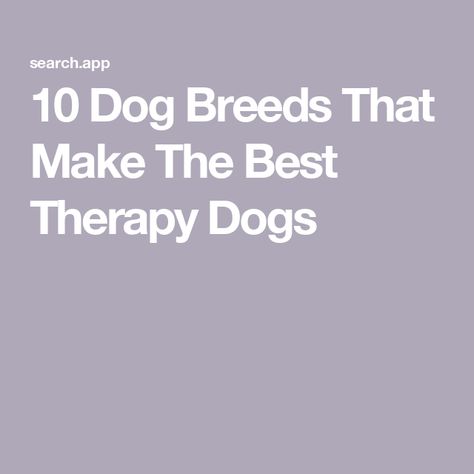 10 Dog Breeds That Make The Best Therapy Dogs Dog Memorial Jewelry, Country Living Uk, Dog Car Accessories, Dog Lover Jewelry, Premium Dog Food, Dog Garden, Dog Car Seat Cover, Nursing Homes, Dog Facts