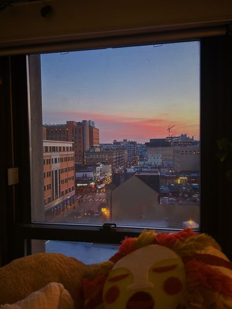 University Of Pittsburgh Dorm, Pitt University Aesthetic, University Of Pittsburgh Aesthetic, Pitt Aesthetic, Pitt College, Pitt University, College Things, Ideal Life, College Aesthetic