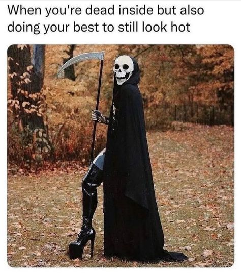 Creepy AF on Instagram: “💀🔥 Photo: @billsafi • • • • #deadinsidememes #gothgirls #halloween365 #halloweenallyear #spookygirlsdoitbetter #scarymemes…” Dead Inside Meme, Goth Memes, Goth Subculture, Animal Facts, Funny Animal Memes, Funny Signs, Funny People, Funny Cute, Funny Texts