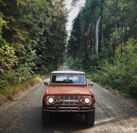 Old Ford Bronco, Vintage Bronco, Chevy Trucks Older, Car Wheels Diy, Chevy Classic, White Truck, Car Wheels Rims, Old Pickup Trucks, Old Classic Cars