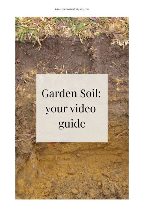 Garden Soil: your video guide. Garden Soil Mixture, Healthy Garden Soil, Garden Soil Preparation, Soil Mixture, Soil Texture, Soil Types, Mediterranean Plants, Gardening Techniques, Healthy Garden