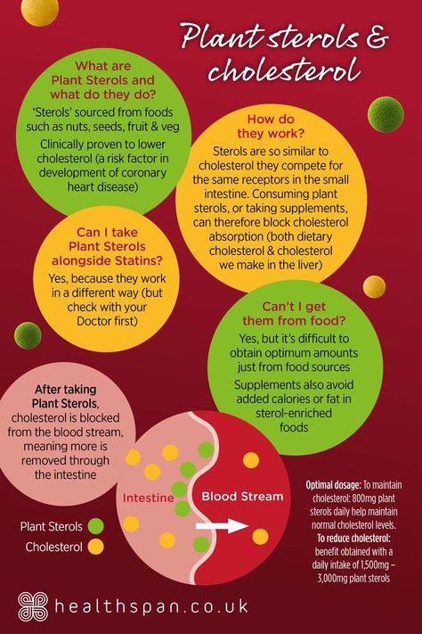 An insight into Plant Sterols & Cholesterol Supplements For Cholesterol, Best Supplements For High Cholesterol, Natural Supplements To Lower Cholesterol, Increasing Hdl Cholesterol, Plant Sterols Lower Cholesterol, What Is Cholesterol, Plant Sterols, Fruit And Veg, Small Heart