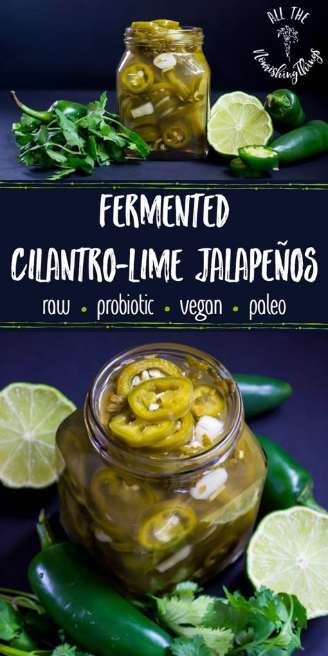 Preserve summer's harvest of jalapeño peppers and add gut-healthy probiotics to your Mexican-inspired meals with Fermented Cilantro-Lime Jalapeños! These probiotic peppers are totally raw, vegan, paleo, keto, and Whole30, perfect for topping healthy tacos, nachos, fajitas, and more! #allthenourishingthings #fermenting #jalapenos #probiotic #guthealth #mexicanfood Fermented Recipes, Vegan Broccoli, Jalapeño Peppers, Fermented Veggies, Healthy Probiotics, Fermentation Recipes, Fermented Vegetables, Healthy Tacos, Green Peppers