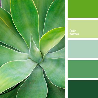 Fresh and full of vitality, green shades color combination, best fit for health care, and outdoor brands. Blog Color Palette, Flat Bedroom, In Color Balance, Monochrome Color Palette, Color Palette Ideas, Color Schemes Colour Palettes, Palette Ideas, Green Colour Palette, Design Seeds