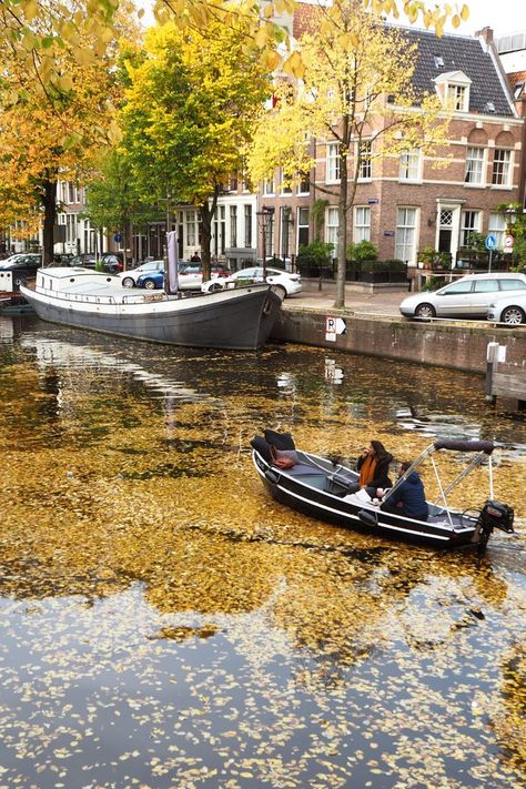 Enjoying the autumn colours in Amsterdam Amsterdam In Autumn, Amsterdam Autumn, Amsterdam Netherlands, Gloomy Day, Exotic Places, Beautiful Places On Earth, Fall Travel, Dream Destinations, Travel Aesthetic