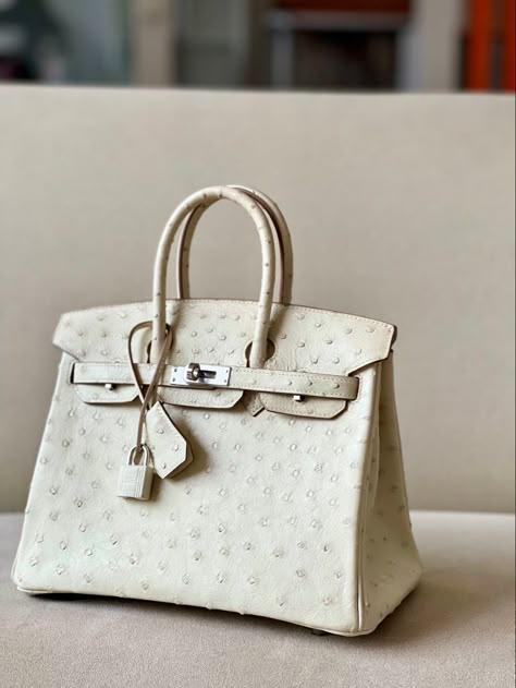 Hermes Ostrich Bag, Hermes Ostrich Birkin, Birkin Ostrich, Hermes Birkin Ostrich, 2024 Bags, Ostrich Birkin, Hermes Ostrich, Ostrich Bag, Birkin Bags