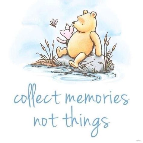 Quotes Winnie The Pooh, Collect Memories Not Things, Bear Quote, Winnie The Pooh Pictures, Cute Winnie The Pooh, Winnie The Pooh Quotes, Winnie The Pooh Friends, Pooh Quotes, Quotes Disney