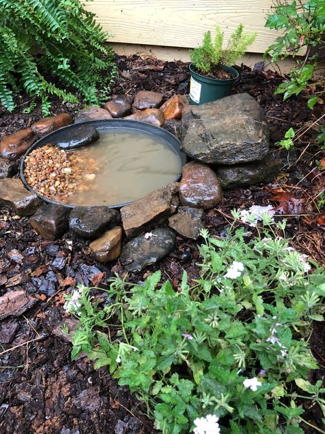 Toad Pond, Herbs Growing, Toad House, Habitat Garden, Garden Frogs, Grow Food, Bee Garden, Wildlife Gardening, Garden Pond