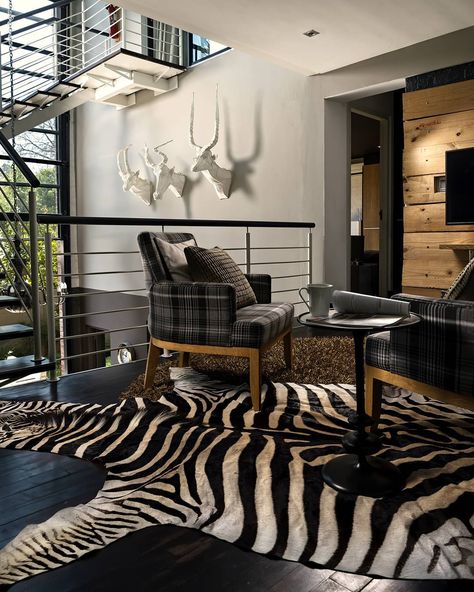 Zebra Skin Rug: How to Add Class to Your Interiors. Zebra Rugs, Zebra Hide Rug, Zebra Skin Rug, Print Rugs, Zebra Hide, Zebra Decor, Zebra Skin, Zebra Rug, Living Room Classic