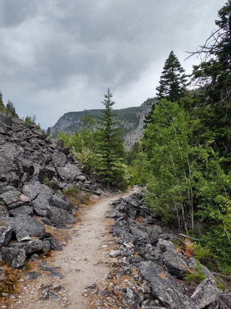 Bear Creek Trail, Victor, MT Bear Creek, Montana