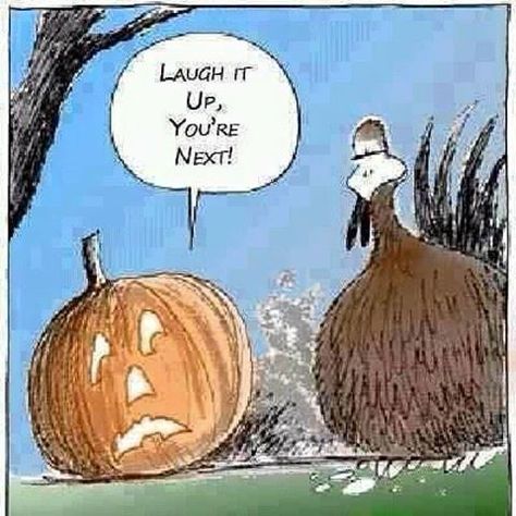 Funny Friday: Laugh It Up, You’re next! | http://www.happyhealthyandprosperous.com/funny-friday-laugh-it-up-youre-next/ Funny Thanksgiving Pictures, Thanksgiving Jokes, Halloween Humor, Fall Humor, Halloween Jokes, Thanksgiving Pictures, Happy Happy Happy, Halloween Quotes, Halloween Cartoons