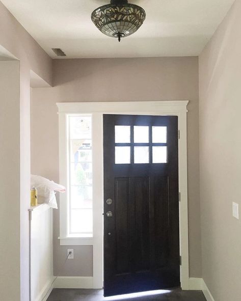 Sw Temperate Taupe, Temperate Taupe Sherwin Williams, Temperate Taupe, Taupe Sherwin Williams, Taupe Paint Colors, Taupe Paint, Home Pictures, Coordinating Colors, Sherwin Williams