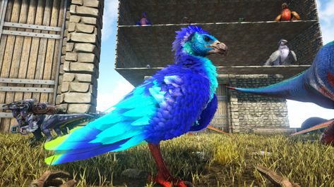 One of my favorite birds Ark Argentavis, Ark Survival Evolved, Birds, Animals