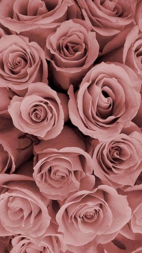 Blush Pink Roses Background, Pink Roses Iphone Wallpaper, Blush Pink Wallpaper Aesthetic, Pink Gold Asthetics, Pink Gold Aesthetic Wallpaper, Pink Rose Aesthetic Wallpaper, Rose Asthetics Wallpaper, Pink Roses Aesthetic Wallpaper, Rose Gold Pink Aesthetic