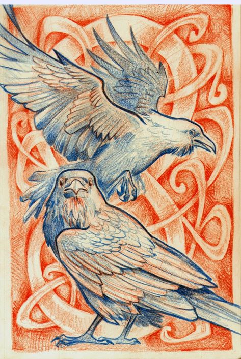 Hugin And Munin, It's Wednesday, Crow Art, Raven Art, Desenho Tattoo, Arte Sketchbook, Two Birds, Animal Sketches, Bird Drawings