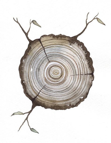 Print+Fine+Art+Illustration++Log+tree+rings++5+x+7+by+lorisworld,+$12.00 Tree Ring Tattoo, 42 Tattoo, Tattoo Tree, Family Tree Tattoo, Ring Tattoos, Etsy Prints, Tree Rings, Watercolor Trees, Art Et Illustration