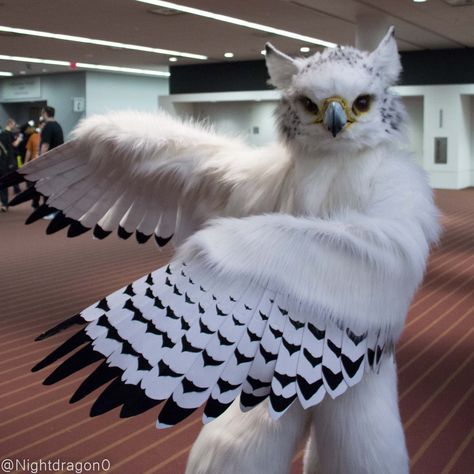 It's #FursuitFriday!  Source: Owl Fursuit, Bird Fursuit, Fursuit Head, Bird Costume, Harry Potter Halloween, Animal Costumes, Cosplay Diy, Fantasias Halloween, Stilts