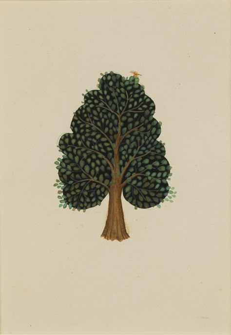 Indian Tree Illustration, Jethro Buck, Indian Trees, Mughal Miniature Paintings, Indian Miniature, Mughal Art Paintings, Textile Art Embroidery, Pichwai Paintings, Miniature Trees