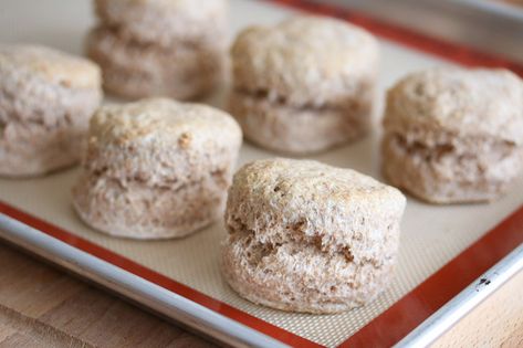 Spelt Biscuits Recipe, Spelt Flour Biscuits, Einkorn Biscuits, Biscuit Recipe No Milk, Spelt Biscuits, 3 Ingredient Biscuit Recipe, Quick Biscuit Recipe, Biscuit Recipes Dinner, Southern Biscuits Recipe