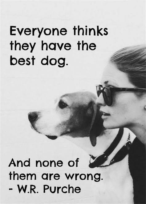 23 Amazing Quotes for Dog and Animal Lovers  #petloverquotes #dogquotes #doglover #animallover #petquotes Game Mode, Pet Gear, Dog Rules, Airedale Terrier, Puppy Stuff, Must Love Dogs, Love My Dog, Blue Heeler, Memes Humor