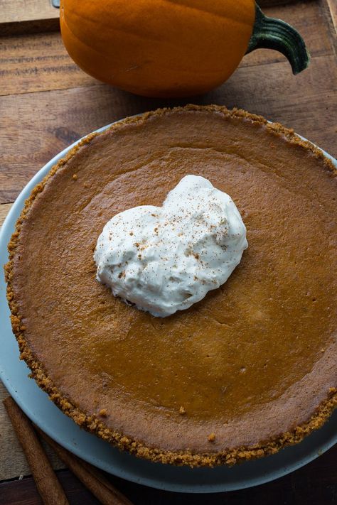 Gingersnap Crust Pumpkin Pie, Desert Squares, Gingersnap Crust Recipes, Pumpkin Cream Pie, Pumpkin Cream Cheese Pie, Pumpkin Pie Ice Cream, Apple Desserts Easy, Gingersnap Crust, No Bake Pumpkin Pie