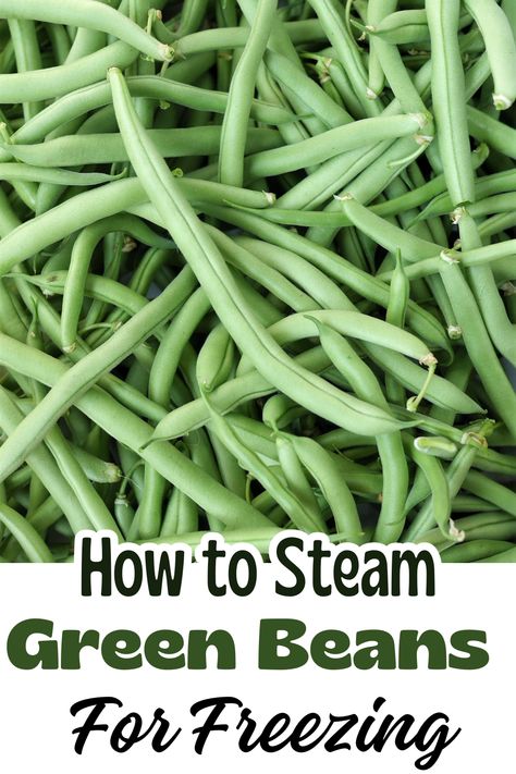 Steaming and freezing fresh green beans makes a great, budget friendly side for winter months! Gardening tips included. Freezing Fresh Green Beans, Steam Green Beans, Freezing Recipes, Baked Green Beans, Steamed Green Beans, Quick Side Dishes, Frozen Green Beans, Fresh Green Beans, Freezer Friendly