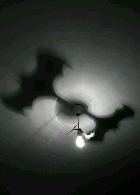 Batman Light fitting Batcave Room, Batman Light, Batman Room, Sons Room, Batman Decor, Man Cave Home Bar, Toddler Boys Room, Light Shadow, Art Lamp