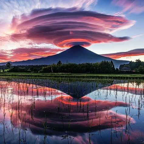 Massimo on Twitter: "Instagam's Taitan21 mainly takes pictures of the scenery of Mt. Fuji around Fuji City and Fujinomiya City every day. This is a majestic view of Mt. Fuji surmounted by lenticular clouds while reflected in a lake [source, more pictures: https://t.co/vYcJVSsKPl] https://t.co/g2TwUQBR4r" / Twitter Boring Pictures, Lenticular Clouds, Monte Fuji, Mont Fuji, Mt Fuji, Daily Pictures, Shizuoka, Mount Fuji, Japan Photo