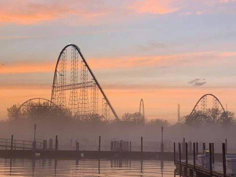 Cedar Point Aesthetic, Ohio Amusement Parks, Forest Roller Coaster, Cedar Point Roller Coasters, Creepy Roller Coaster, Cedar Point Amusement Park, Sandusky Ohio, Best Amusement Parks, Phone Widgets