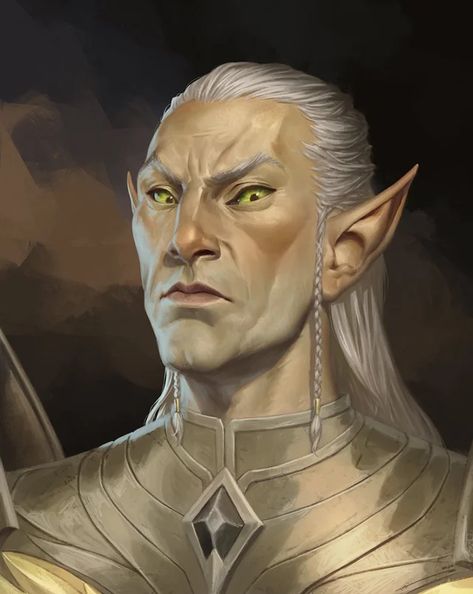 Altmer by ARTTAiR : ImaginaryTamriel Skyrim Special Edition Mods, Elder Scrolls Art, Elves Fantasy, Dragon Rpg, High Elf, Paintings And Drawings, The Elder Scrolls, Fantasy Races, Dungeons And Dragons Characters