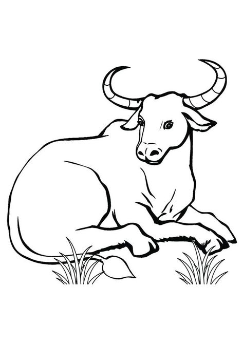 Sitting Bull Coloring Page for Kids Adults Quotes, Cow Drawing Easy, Cow Coloring Pages, Cow Drawing, Quotes Kids, Cow Colour, Cat Coloring Page, Cartoon Coloring Pages, Outline Drawings