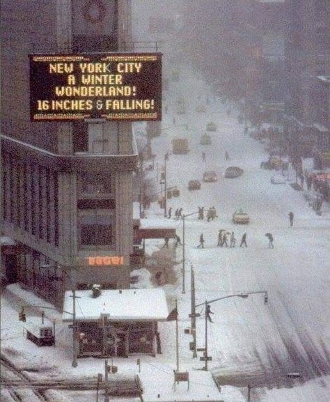 Times Square, New York, 1978. View Master, Nyc Life, New York Aesthetic, Homescreen Ideas, Vintage New York, Nyc Apartment, Arnold Schwarzenegger, Concrete Jungle, Winter Aesthetic