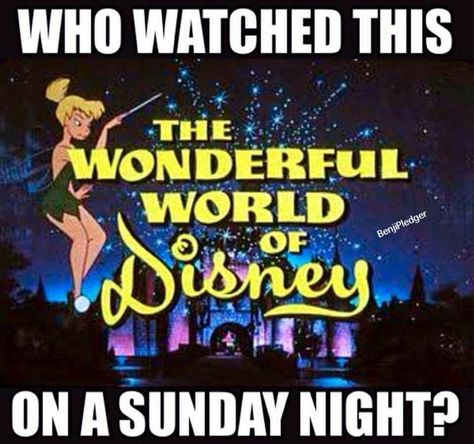 OMG, I was about 5 when I first watched this back in the day! Wonderful World Of Disney, World Of Disney, Childhood Memories 70s, Childhood Days, Old Tv Shows, I Remember When, I Love Music, Good Ole, Childhood Toys