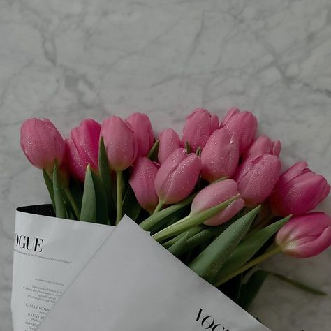 Joanna Core Aesthetic, Joannacore Aesthetic, Joanna Aesthetic, Joanna Core, Aesthetic Flores, Widget Aesthetic, Widget Board, Tulip Season, Friday Vibes