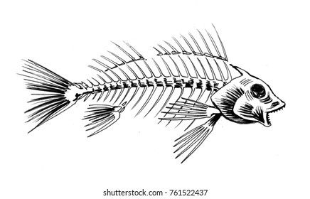 Fish Skeleton Illustration, Fish Skeleton Drawing, Fish Robot, Skeleton Xray, Rex Tattoo, Skeleton Photo, Skeleton Fish, Black White Drawing, Bleaching Clothes