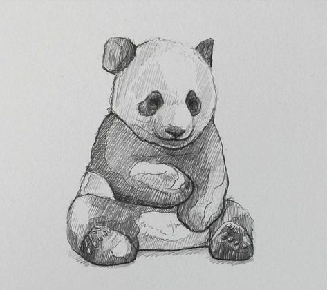 Animals Sketch Ideas, Nature Drawings Animals, Sketching Ideas Animals, Panda Drawing Sketches, Zoo Animal Sketches, Cute Panda Drawing Sketches, Giant Panda Drawing, Drawing Ideas Animals Sketches Pencil, Nature Animal Drawing