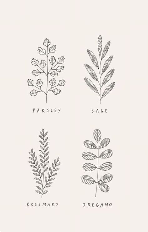 Herbs Line Art, Herb Line Art, Easy Botanical Drawings, Herb Drawings Simple, Herb Doodles, Herb Sketches, Herbs Drawing, Line Drawing Embroidery, Herb Drawings