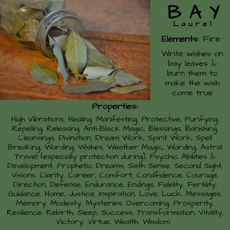 Bay Leaf Magic, Burn Bay Leaves, Moon Witchcraft, Herbs Magic, Bay Laurel Tree, Burning Bay Leaves, Bay Laurel, Magickal Herbs, Witch Herbs