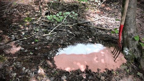 Create Mineral Licks on the Cheap | Grand View Outdoors Deer Bait Homemade, Deer Bait, Womens Hunting Gear, Food Plots For Deer, Deer Feeders, Archery Tips, Whitetail Deer Hunting, Salt Lick, Food Plot