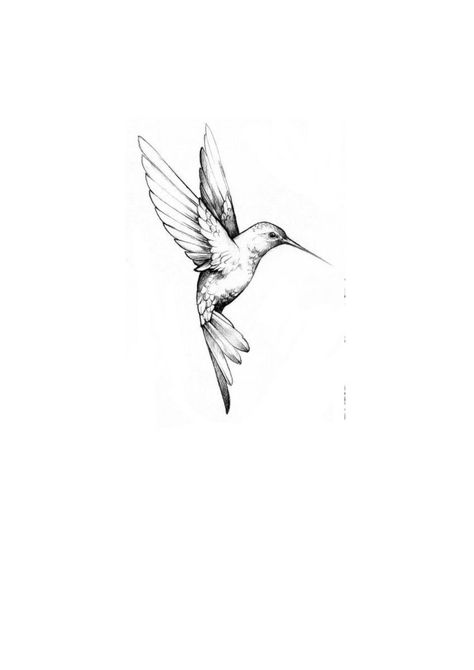 Hummingbird Tattoo Black Simple, Hummingbird Tattoo Drawing, Small Hummingbird Tattoo Fine Line, Humming Bird Tattoo Stencils, 1.5 Inch Tattoo Ideas, Humming Bird Fine Line Tattoo, Spirit Bird Tattoo, Fineline Hummingbird Tattoo, Bird Tattoo Fine Line