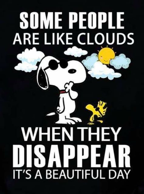 Low Serotonin, Charlie Brown Quotes, Funny Day Quotes, Snoopy Funny, Snoopy Images, Snoopy Wallpaper, Snoopy Quotes, Cute Good Morning Quotes, Snoopy Pictures