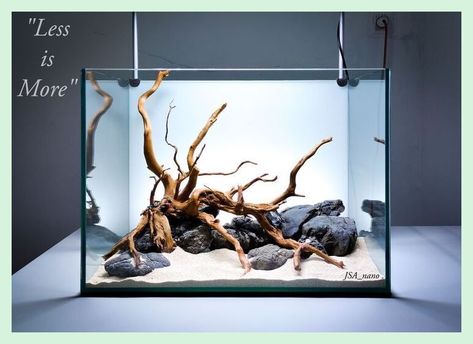 [Sponsored] 11 Aquarium Setup Ideas Aquascaping Advice To Try Out Immediately #aquariumsetupideasaquascaping Aquarium Setup Ideas, Nano Aquascape, Cool Fish Tank Decorations, Biotope Aquarium, Aquarium Architecture, Fish Aquarium Decorations, Fish Tank Themes, Fish Tank Terrarium, Cool Fish Tanks