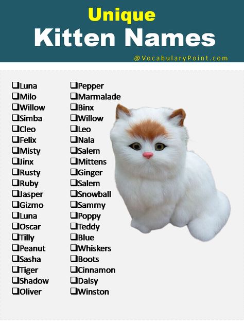 Cute Names For Kittens, Kitten Names Boy, Kitten Names Unique, Aesthetic Cat Names, Cat Symbolism, Sims Names, Unique Cat Names, Cute Cat Names, Names Boy