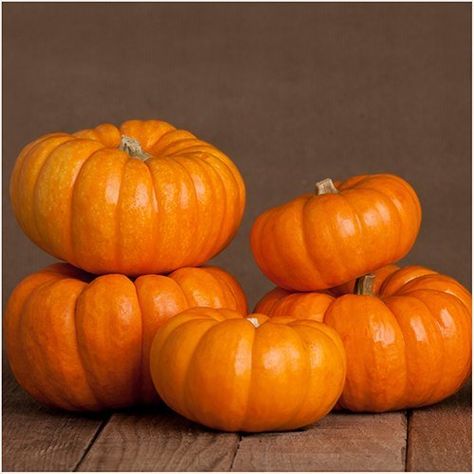 Pumpkin Seeds For Planting, Pumpkin Christmas, Pumpkin Varieties, Pumpkin Wallpaper, Grow A Garden, Green Pumpkin, Beta Carotene, Delicious Pumpkin, Heirloom Seeds