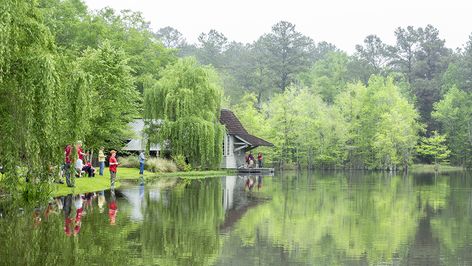 Multi Generational Compound, Family Compound Homestead, Compound Estate, Family Property Compound, Building A Family Compound, Multifamily Homestead, Multi Family Homestead, Family Commune, Multi Family Compound House Plans