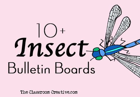 Insect bulletin board ideas! Insects Bulletin Board Ideas, Bug Theme Classroom Decorations, Insect Bulletin Board Ideas, Bug Bulletin Board Ideas, Butterfly Science Activities, Sight Word Caterpillar, Bee Bulletin Boards, Butterfly Science, Fairy Dust Teaching