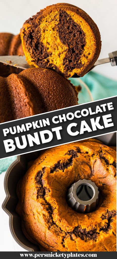 Pumpkin Chocolate Bundt Cake is the perfect blend of pumpkin and chocolate swirled into a bundt cake. Perfect for fall, Halloween, or to celebrate a half birthday! Pumpkin Chocolate Chip Bundt Cake, Pumpkin Chocolate Chip Bundt, Chocolate Chip Bundt Cake Recipe, Chocolate Chip Bundt, Chocolate Pumpkin Cake, Chocolate Chip Bundt Cake, Pumpkin Cakes, Pumpkin Bundt, Pumpkin Bundt Cake