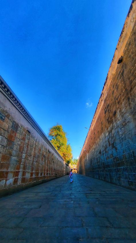 Srirangam photographs Temple photographs Srirangam Temple, Indian Gods, Art And Architecture, The Wall, Temple, Statue, Songs, Architecture, Photographer