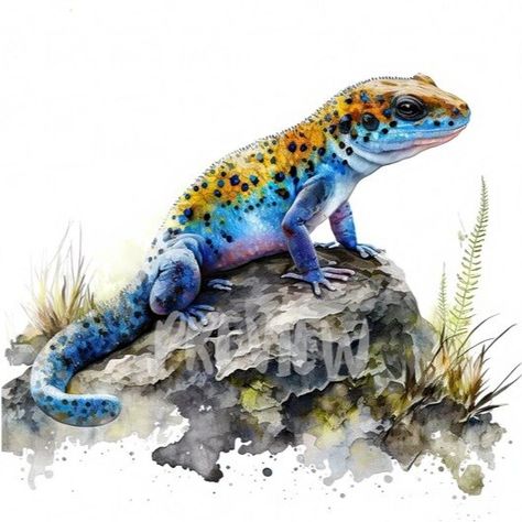 Pictures For Drawing, Fluid Painting, Painting And Drawing, Watercolor Drawing, Lizards, Drawing Tutorials, Pictures To Draw, Amphibians, Art Watercolor